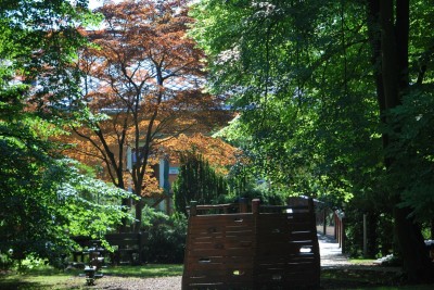 Žampach arboretum - vnitřní areál - léto (2)