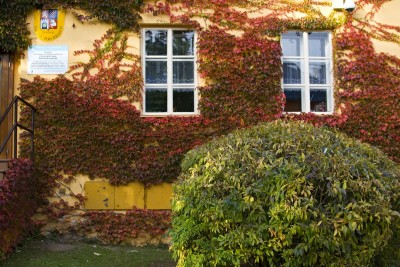 Žampach arboretum - vnitřní areál - nádvoří - podzim 01