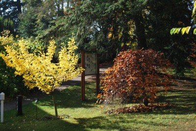 Žampach arboretum - vnitřní areál - podzim (13)