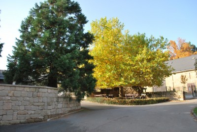 Žampach arboretum - vnitřní areál - podzim (16)