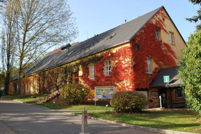 Žampach arboretum - vnitřní areál - podzim (19)