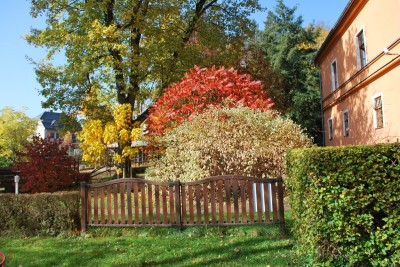 Žampach arboretum - vnitřní areál - podzim (4)