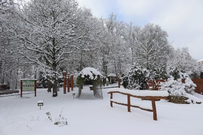 Žampach Arboretum - smyslový park - zima 2021