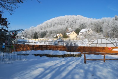 Žampach Arboretum - zima 2019 (12)