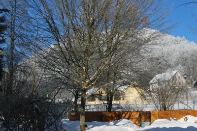 Žampach Arboretum - zima 2019 (13)