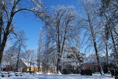 Žampach Arboretum - zima 2019 (18)