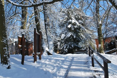 Žampach Arboretum - zima 2019 (19)