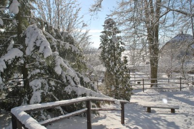 Žampach Arboretum - zima 2019 (25)