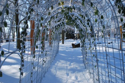Žampach arboretum - smyslový park 2018 (49)