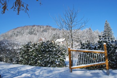 Žampach arboretum - smyslový park 2018 (52)
