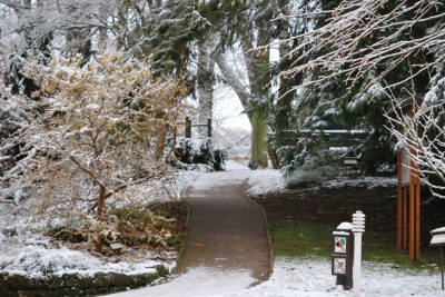 Žampach arboretum - vnitřní areál - zima 18