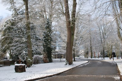 Žampach arboretum - vnitřní areál - zima 2