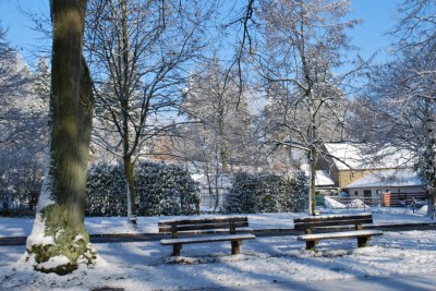 Žampach arboretum - vnitřní areál - zima 6