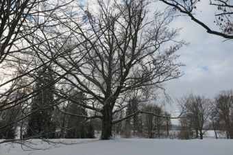 2018 Příchod zimy (12.12.)