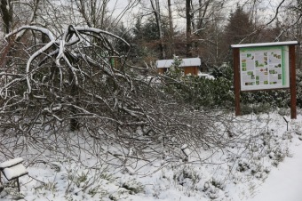 2018 Příchod zimy (12.12.)