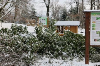 2018 Příchod zimy (12.12.)