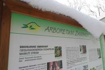 2018 Příchod zimy (12.12.)