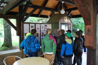 2019 Dny rostlin v Arboretu Žampach (20.-22.5.)