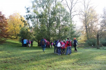 2019 Den stromů v Arboretu Žampach (22.10.)