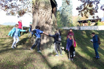 2019 Den stromů v Arboretu Žampach (22.10.)