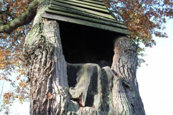 2019 Den stromů v Arboretu Žampach (22.10.)