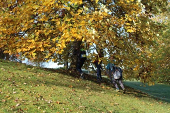 2019 Den stromů v Arboretu Žampach (22.10.)