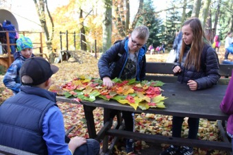 2019 Den stromů v Arboretu Žampach (22.10.)