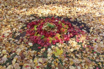 2019 Den stromů v Arboretu Žampach (22.10.)
