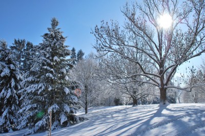 Žampach Arboretum - zima 2019 (28)
