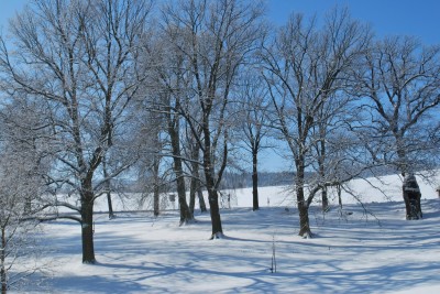 Žampach Arboretum - zima 2019 (33)