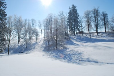 Žampach Arboretum - zima 2019 (34)
