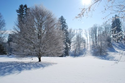 Žampach Arboretum - zima 2019 (35)