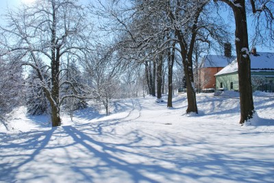 Žampach Arboretum - zima 2019 (4)