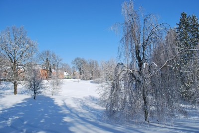 Žampach Arboretum - zima 2019 (53)