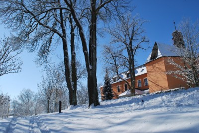 Žampach Arboretum - zima 2019 (5)