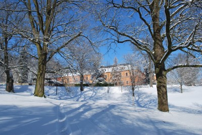 Žampach Arboretum - zima 2019 (61)