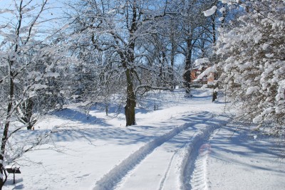 Žampach Arboretum - zima 2019 (63)