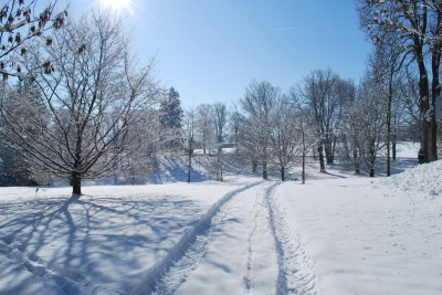 Žampach Arboretum - zima 2019 (65)