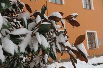 Zima 2019 - sněhová nadílka (8.1.)