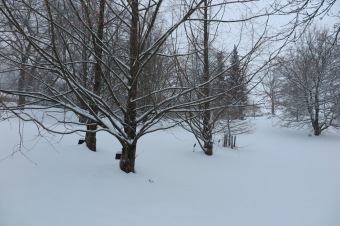 Zima 2019 - sněhová nadílka (8.1.)