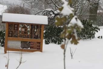 Zima 2019 - sněhová nadílka (8.1.)