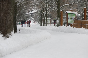 Zima 2019 - sněhová nadílka (8.1.)