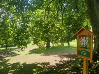 2023 Památné stromy Arboreta Žampach