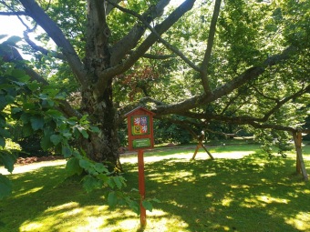 2023 Památné stromy Arboreta Žampach