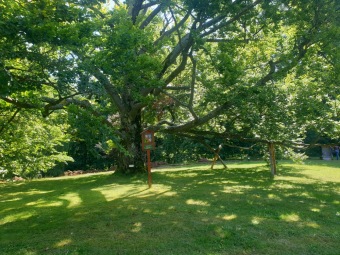 2023 Památné stromy Arboreta Žampach