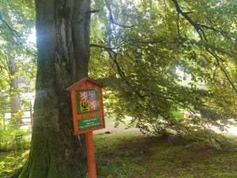 2023 Památné stromy Arboreta Žampach