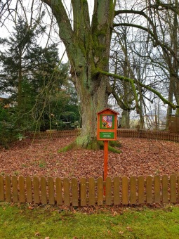 2020 Vyhlášené památné stromy Arboreta Žampach byly označeny