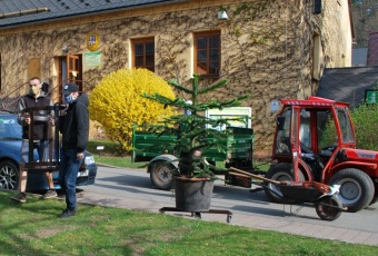 Wolemie a blahočet se stěhují na venkovní stanoviště - 17.4. 2020