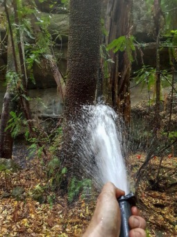 2020 - firefighting - Wollemia - This is incredible work from the NSW National Parks and Wildlife Service (NPWS) firefighters and the NSW Rural Fire Service.