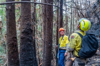 2020 - firefighting - Wollemia - This is incredible work from the NSW National Parks and Wildlife Service (NPWS) firefighters and the NSW Rural Fire Service.
